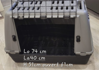 Box 15frs pièces